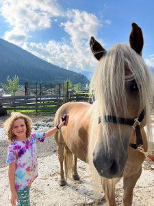 A child grooming a Haflinger horse on a farm with a mountainous backdrop, a memorable hands-on activity. This unique experience is one of the 15 best things to do with kids in Lienz.