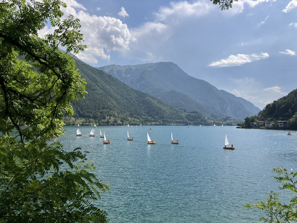 A group of small sailboats with white sails glides across a turquoise lake, framed by lush green mountains under a partly cloudy sky. The scene is viewed through the leaves of a tree in the foreground.