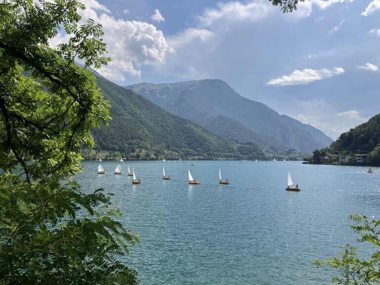 A group of small sailboats with white sails glides across a turquoise lake, framed by lush green mountains under a partly cloudy sky. The scene is viewed through the leaves of a tree in the foreground.