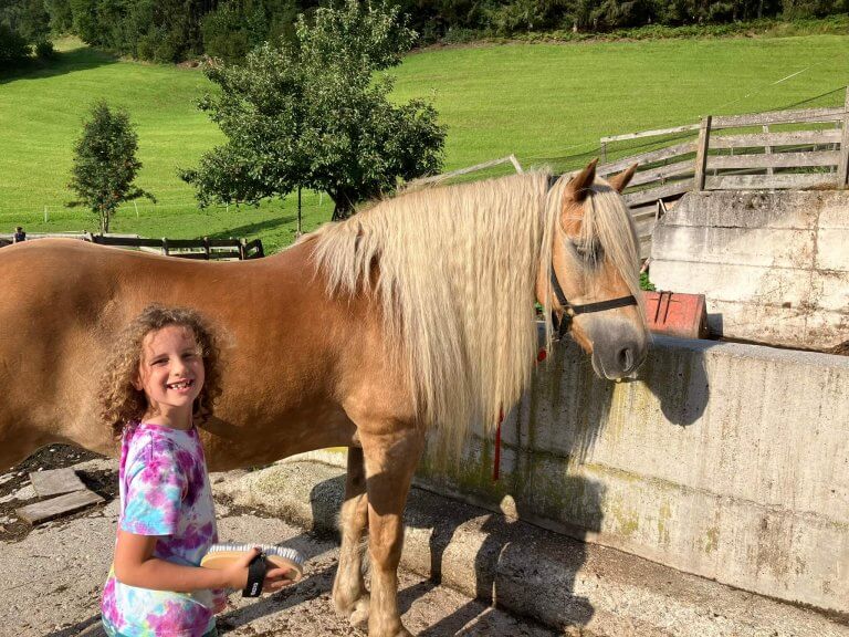 A young girl holding a grooming brush next to a golden-haired horse, standing in front of a wooden fence and green meadow.