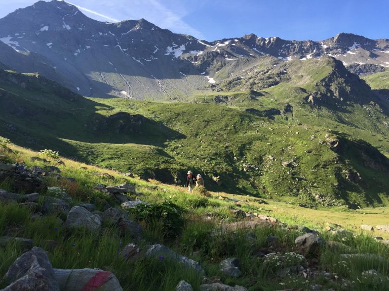 Two hikers wearing hats and backpacks walk through a lush green alpine landscape with towering mountains in the background. The rugged peaks have patches of snow, and the foreground is dotted with rocks and wildflowers. The sunlight casts long shadows across the hills, highlighting the natural beauty of the remote location.