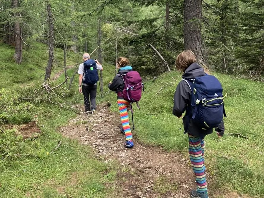 A family hiking through a peaceful forest trail surrounded by tall pine trees and mountain views, showcasing Austria’s kid-friendly hut hikes