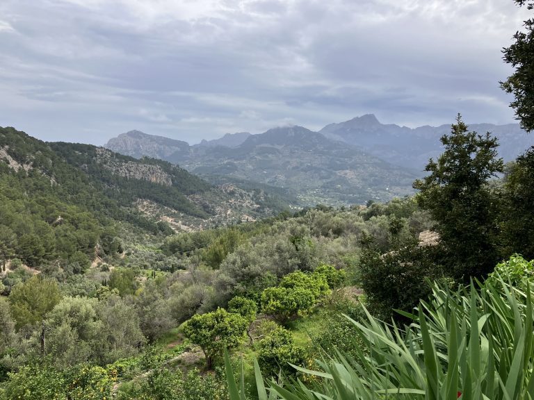 Expansive mountain views stretch across the Serra de Tramuntana, seen from a scenic overlook between Deià and Sóller—one of the most rewarding sections of the GR221 Mallorca hiking itinerary for beginners or families.