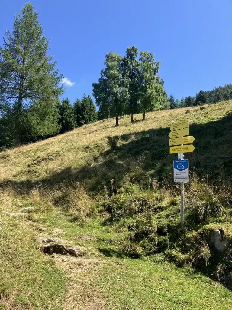 A grassy hiking path with yellow trail signs pointing in different directions under a clear blue sky.