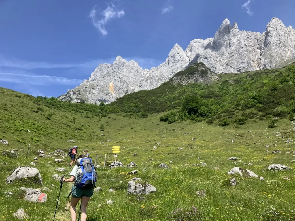 Hikers with backpacks and trekking poles ascend a grassy alpine trail toward the jagged limestone peaks of the Wilder Kaiser, surrounded by wildflowers and rocky terrain on the Wilder Kaiser hut to hut hike from Kufstein.