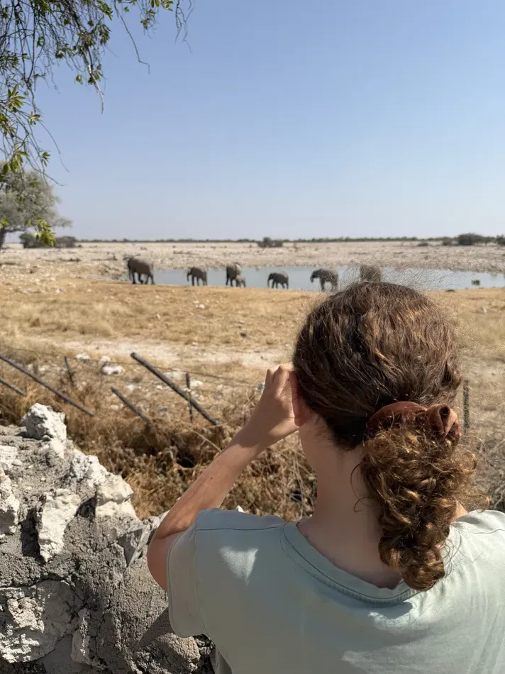 A child uses binoculars to watch a herd of elephants gathered around a distant waterhole. Binoculars are a useful addition to a Namibia Botswana packing list for spotting wildlife from a safe distance.